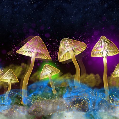 Microdosing and Creativity: Unlocking Flow
